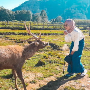 Ela Fauziah profile icon