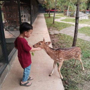 Rosita Rosita profile icon