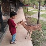 Rosita Rosita profile icon