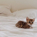 ปรีรักษ์ profile icon