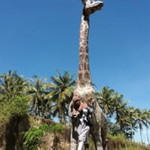 Iin Marlina profile icon