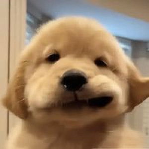 รวิวรรณ ฯ. profile icon