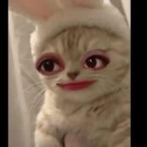 Luckymeta Prs profile icon