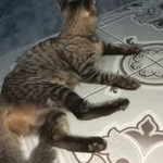 Kikay Nyempluk profile icon