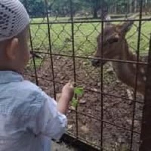 LutfiAni Safitri profile icon