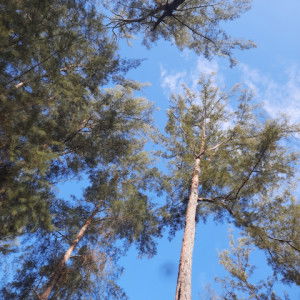 Muh ira profile icon