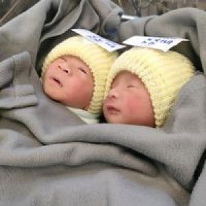 Saifah Payu Hin profile icon