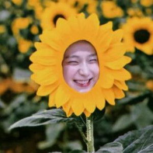 Inda Liya profile icon