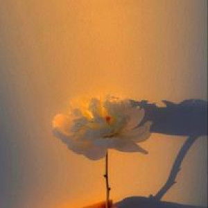 จิราภรณ์ คาส่า profile icon