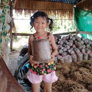 สวนเห็ด เพิ่มพูนทรัพย์ สองพี่น้อง profile icon