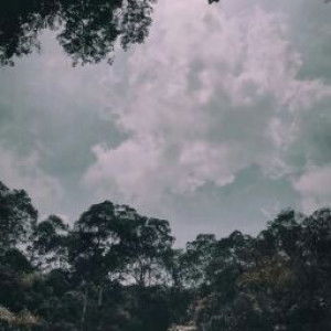 Qasamah Salsabila profile icon