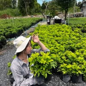 จ๋า จิณณพัต profile icon