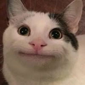 Nut Nisa profile icon