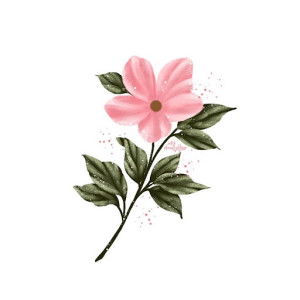 windi ramadani profile icon