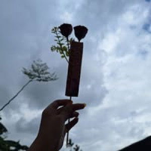 Ermha Ani profile icon