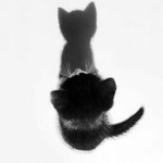 Yurohpa Yurohpa profile icon