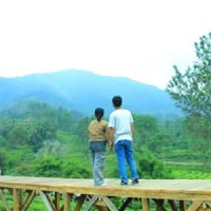 Handa Noel profile icon