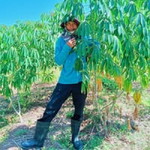 Lao Chang profile icon