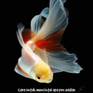 Inahfayza Cliquerzt profile icon