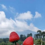 April Lya profile icon