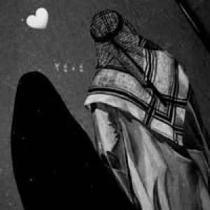 قنتان نبيلة profile icon