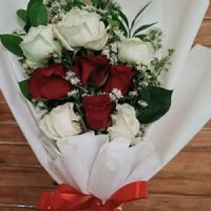 Fitri Fina profile icon