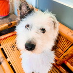 Jaipril Babe Pariñas profile icon