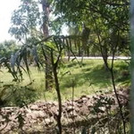 Meli Mulyani profile icon