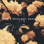 Yaya Aeri profile icon