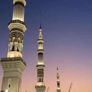 اميليا فاريش profile icon