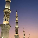 اميليا فاريش profile icon