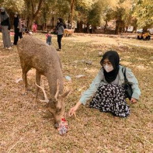 Tirta Sa profile icon