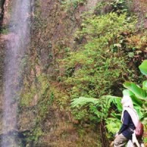 Farhana Rahman profile icon