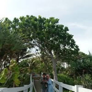 Parida Lee profile icon