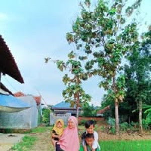 Umi Ayunda Husna profile icon