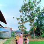 Umi Ayunda Husna profile icon