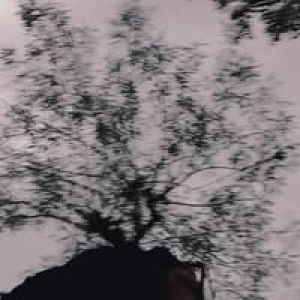 Rufiatin profile icon