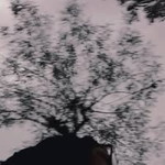 Rufiatin profile icon