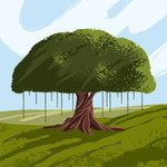 Nofia profile icon