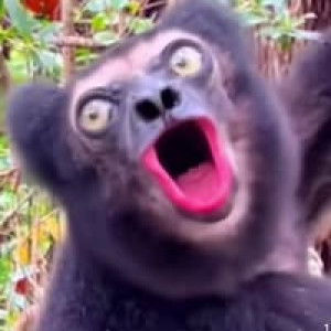 กี้ อรสุดา profile icon