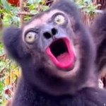 กี้ อรสุดา profile icon