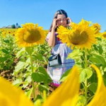 วิลาวัลย์ ป้องศรี profile icon