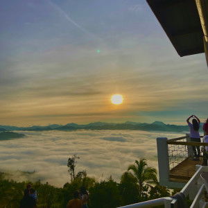 ANNELYN MORFE profile icon