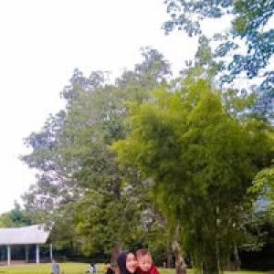 Dwita Ybm Dwi profile icon