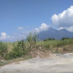 Maulifah L profile icon