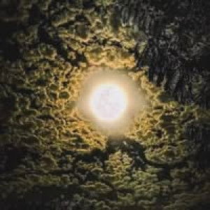 Maria Ulfa profile icon