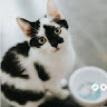 rheign taylor profile icon