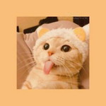 ammieamp profile icon