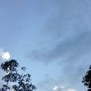 Ina Fadhila profile icon