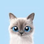 It's Rosee profile icon